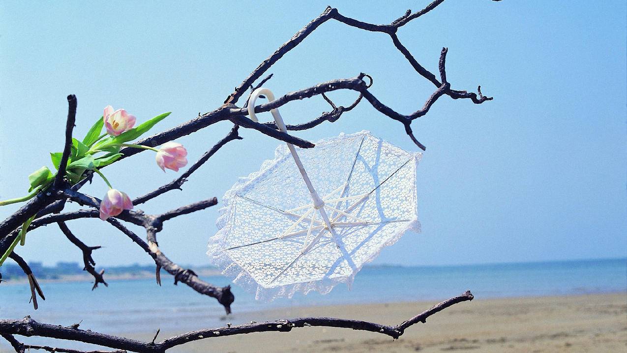 抖音点赞业务 - 抖
