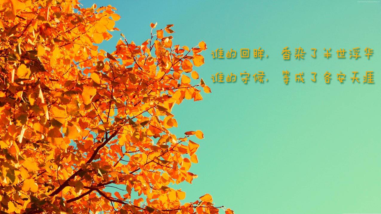 抖音点赞业务24小时
