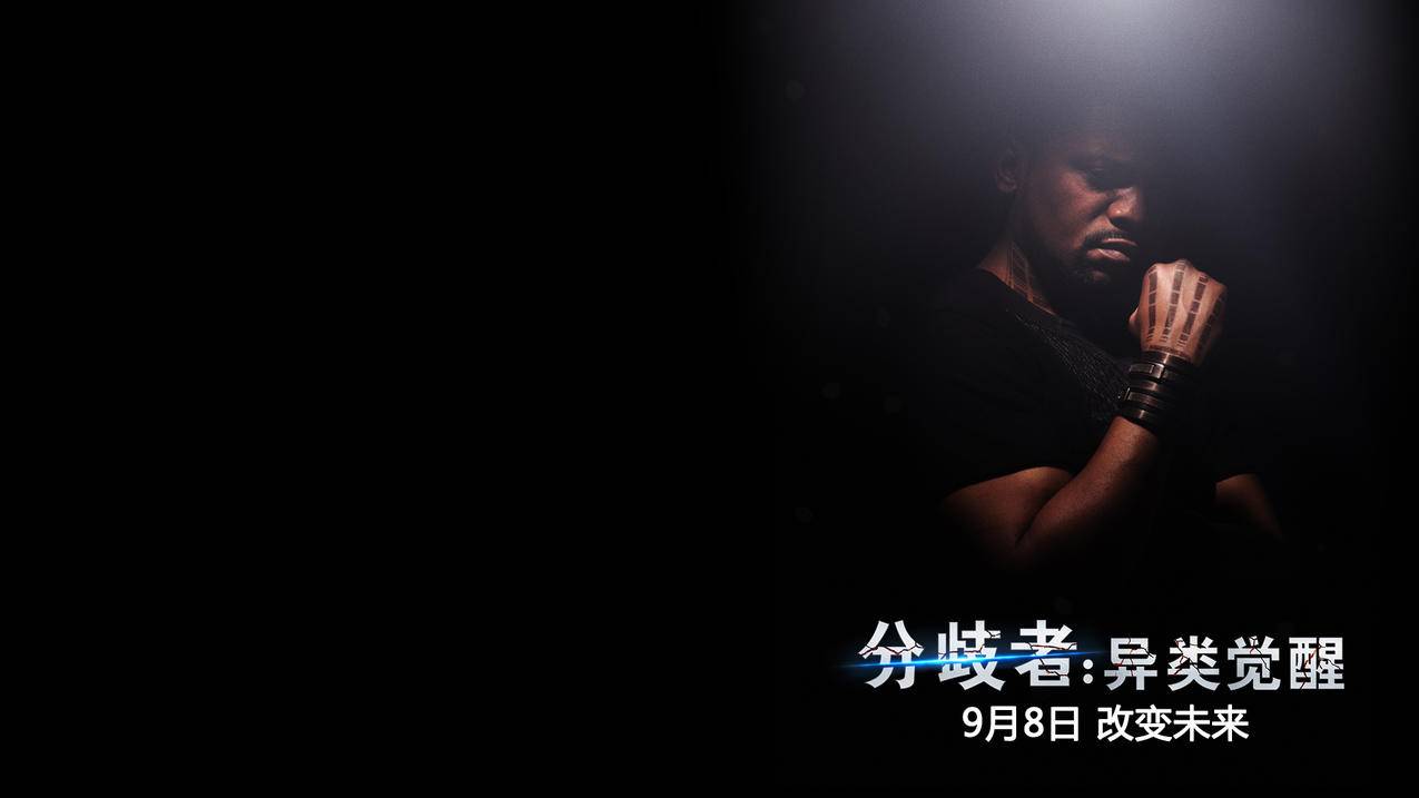 业务下单 - 低价下单-帝王抖音赞下单