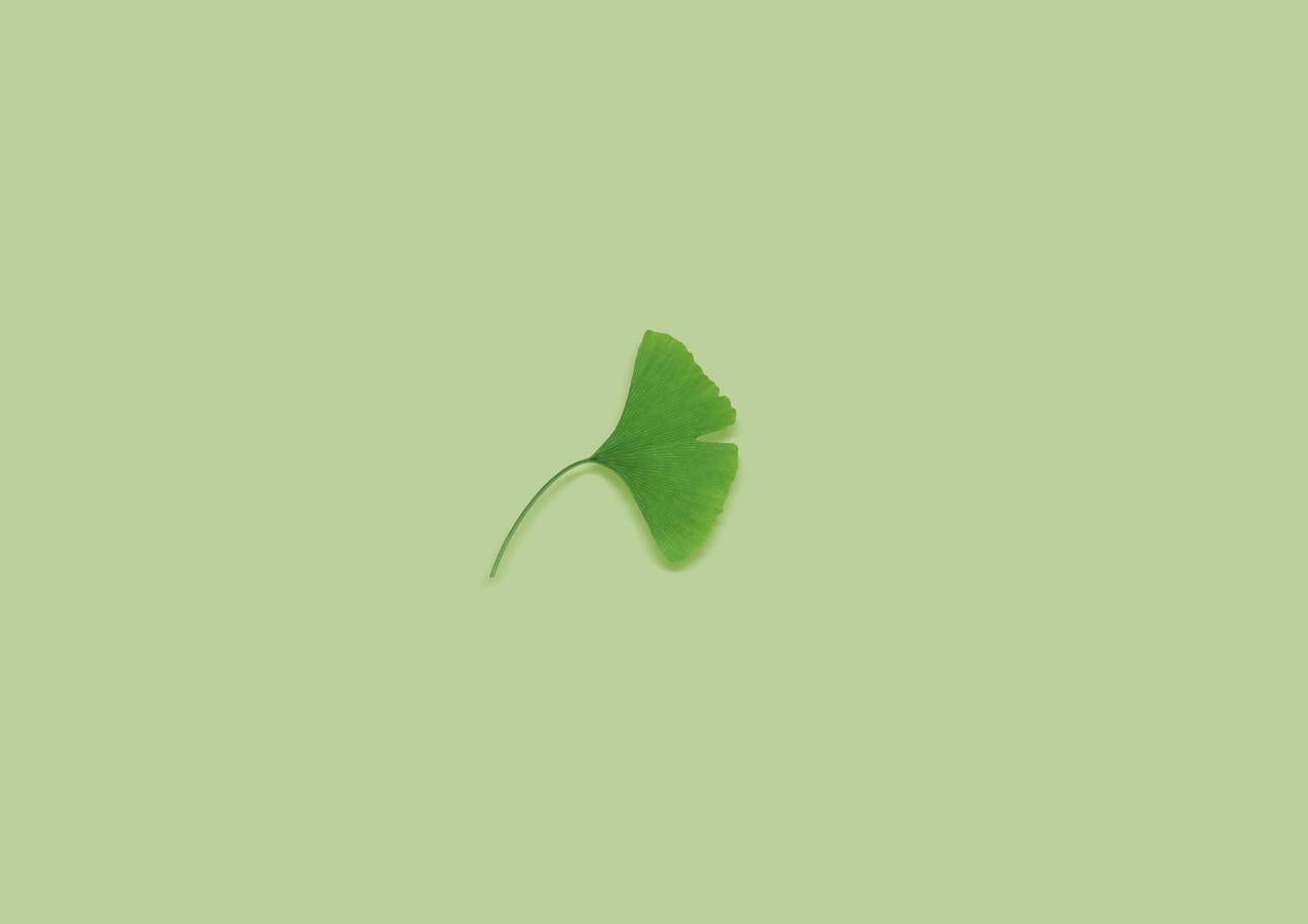 花钱业务 - 墨抖音