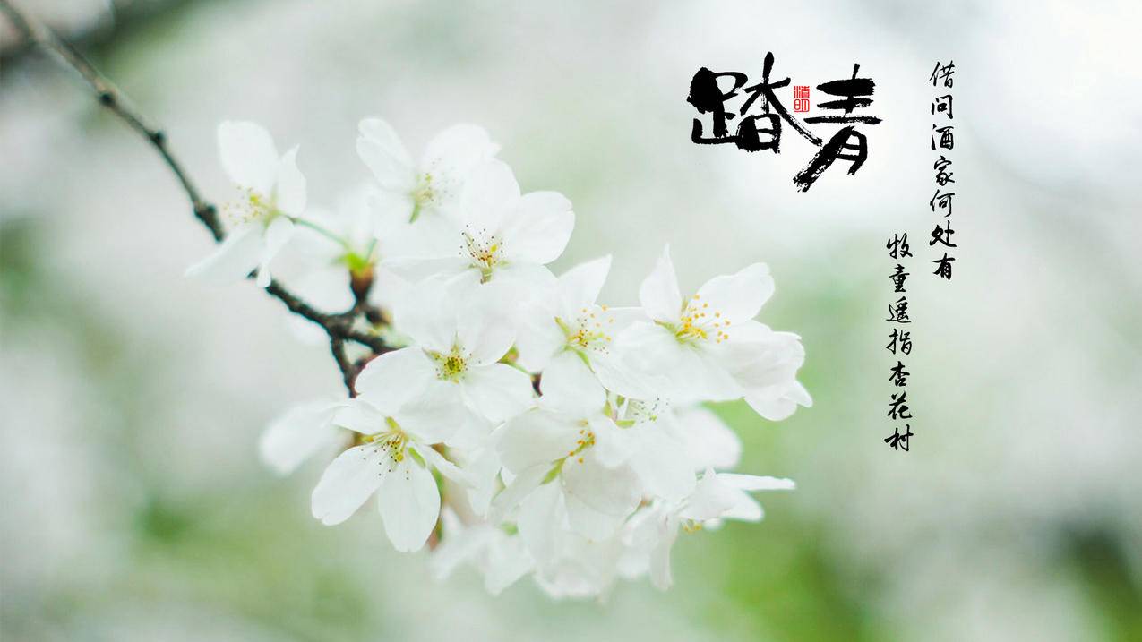 业务下单抖音点抖音点赞业务24小时-抖音点赞业务平台-抖音点赞业务24小时24小时,凯信抖音赞
