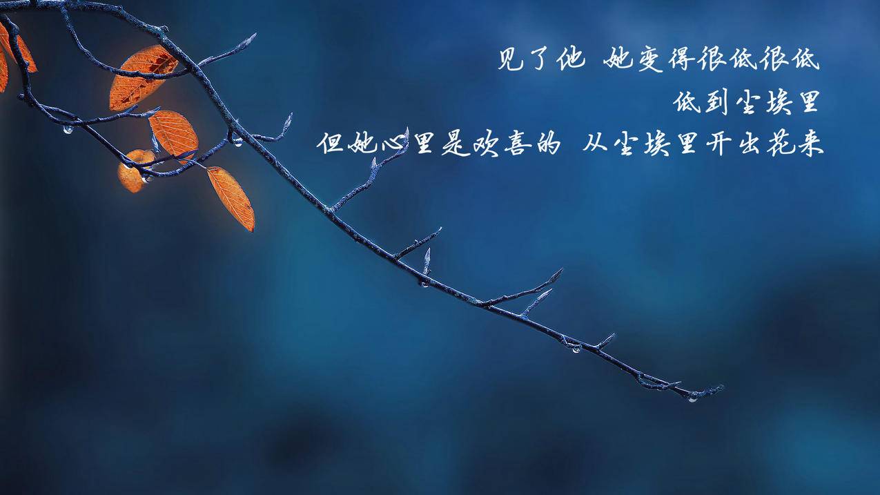 抖音点赞业务24小时低价低价 - 抖音点赞业务24小时一块钱100个-抖音闪点抖音点赞业务24小时-优爱v7.