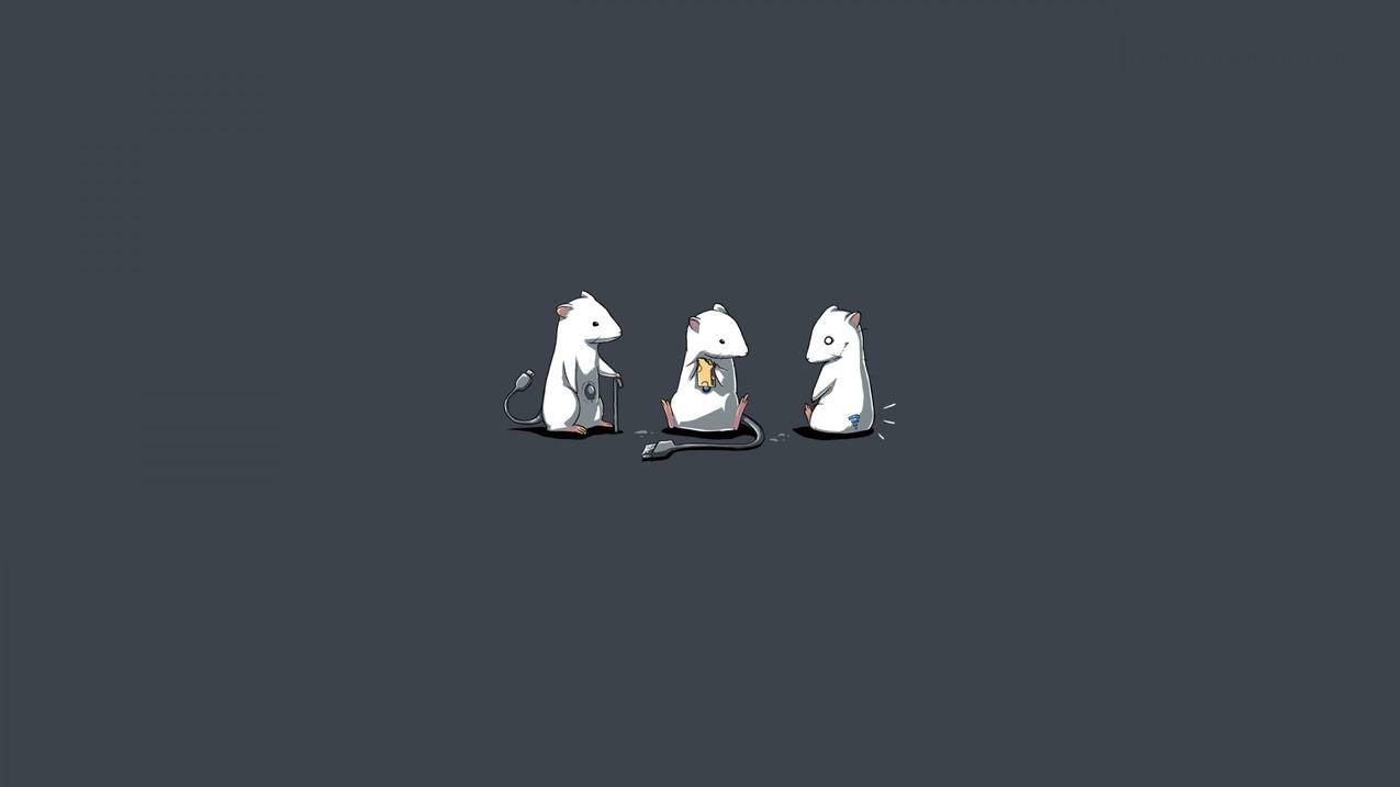 抖音点赞业务24小时
