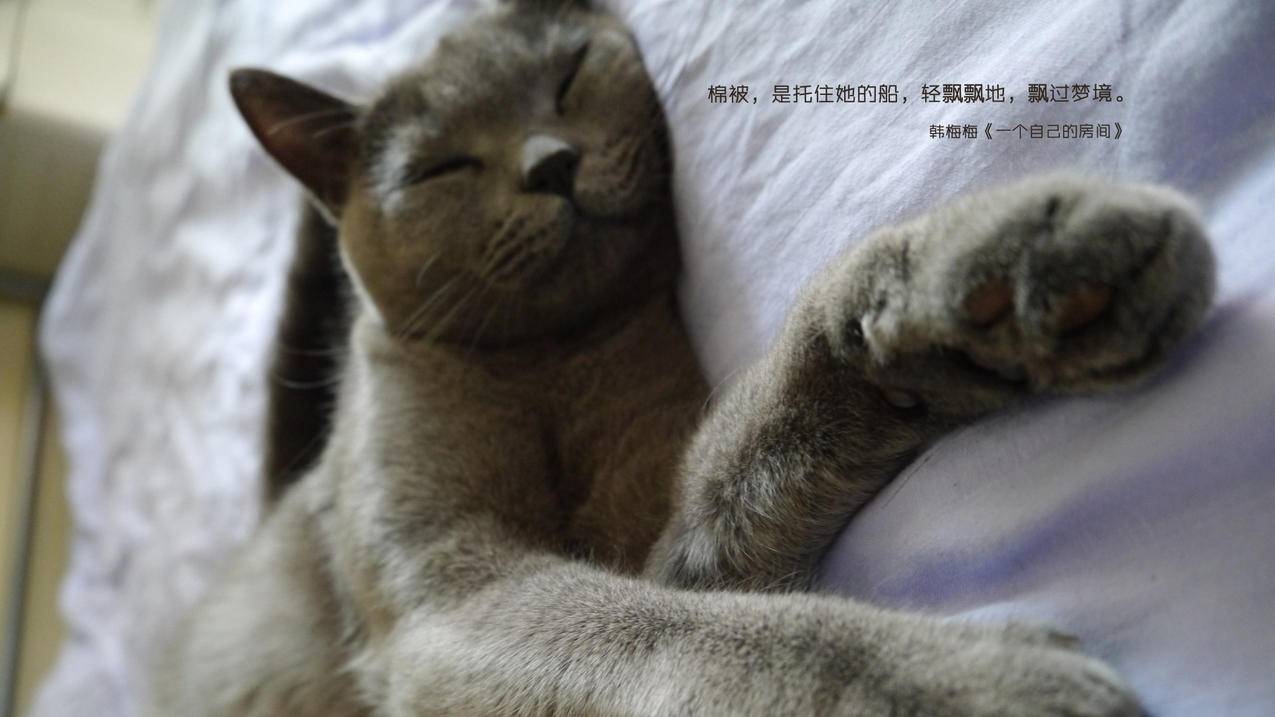 小妹络抖音点赞业务24小时 - 抖音点赞业务24小时的是,自助下单业务24小时下单,招抖音点赞业务
