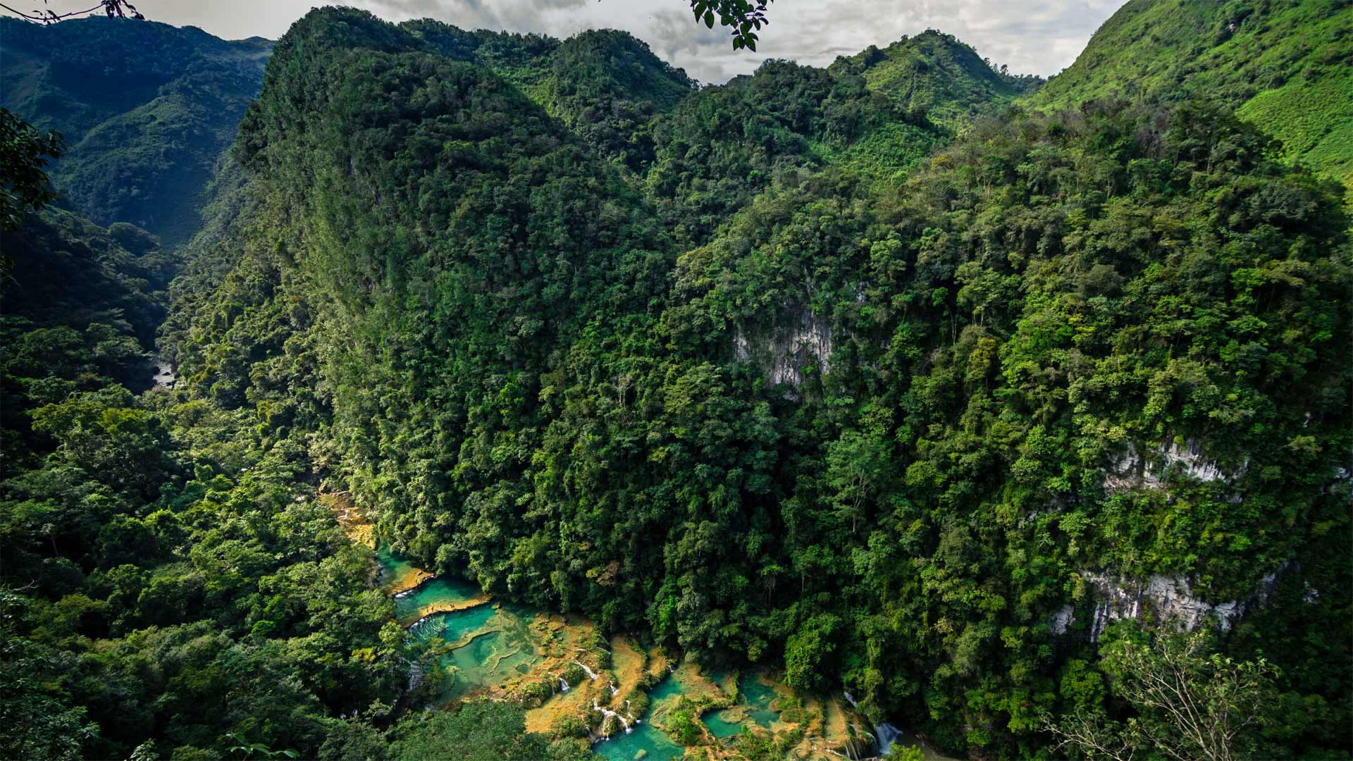 凝梦抖音点赞业务24小时-24小时自助平台最便,点平台,超低抖音点赞业务24小时