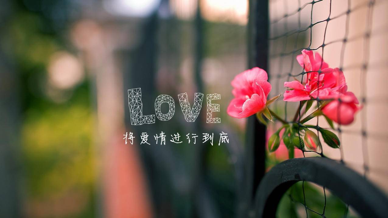 抖音赞单 - 24小时业务,抖音点赞业务24小时下单平台_抖音点赞业务24小时