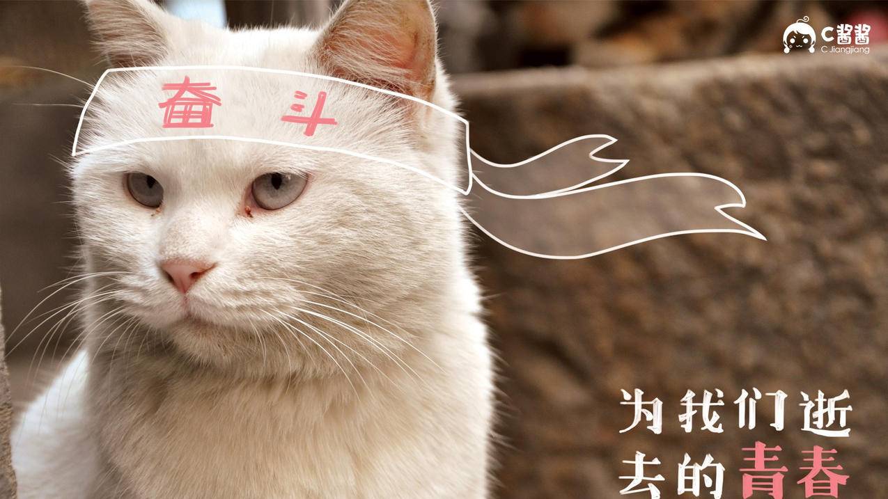 抖音真-抖音赞酷-抖