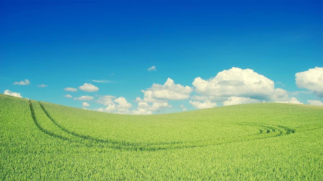 抖音点赞业务下单平台