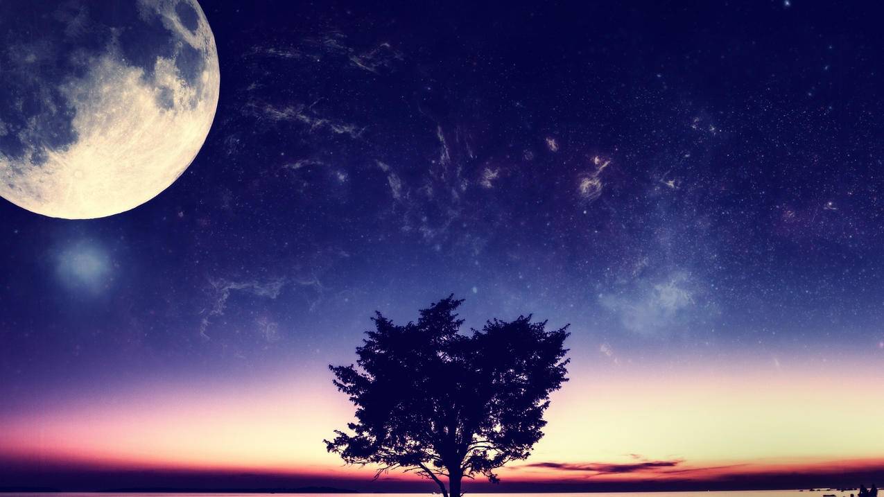 抖音点赞业务24小时