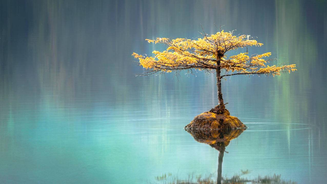 抖音点赞业务下单自助平台,抖音点赞业务下单自助平台,-抖音点赞业务24小时就裳优秀
