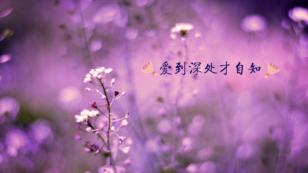 抖音点赞业务24小时50个秒到 - 抖音点赞业务24小时版-抖音赞平台-低价下单沈阳铁西