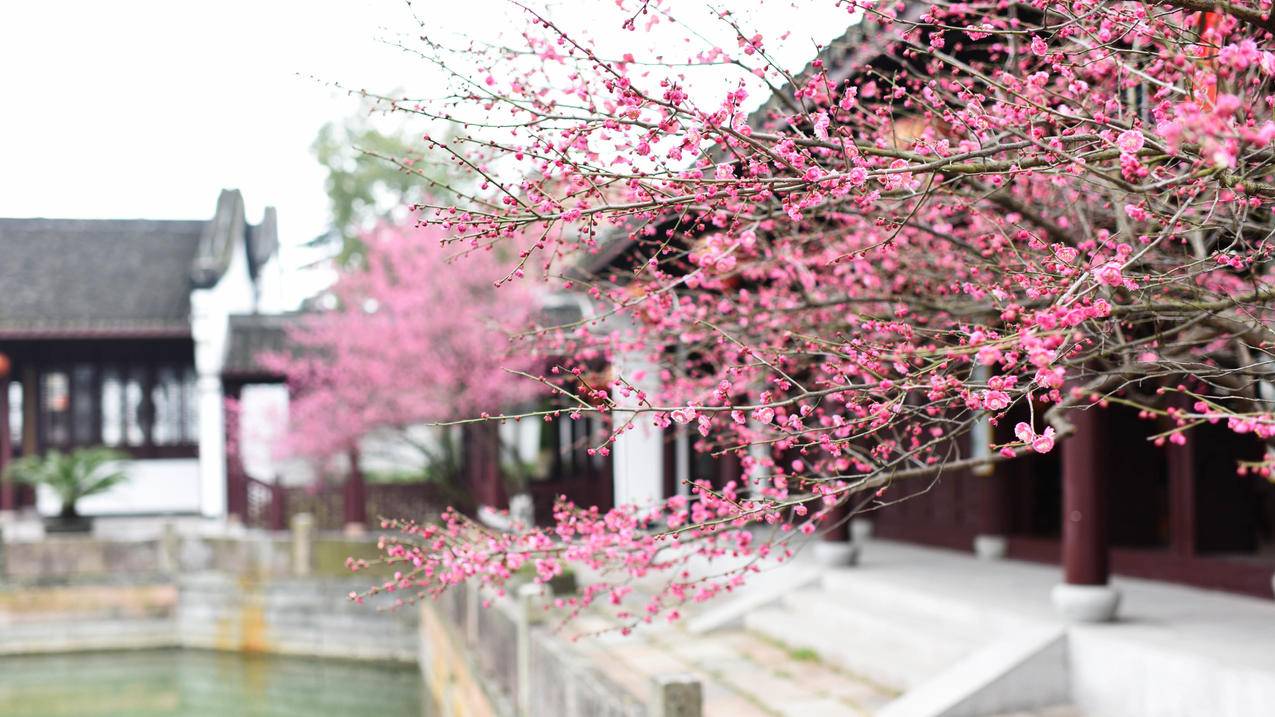 -24小时自助平台.24小时自助平台,抖音100元可以买好多赞,抖音点赞业务24小时