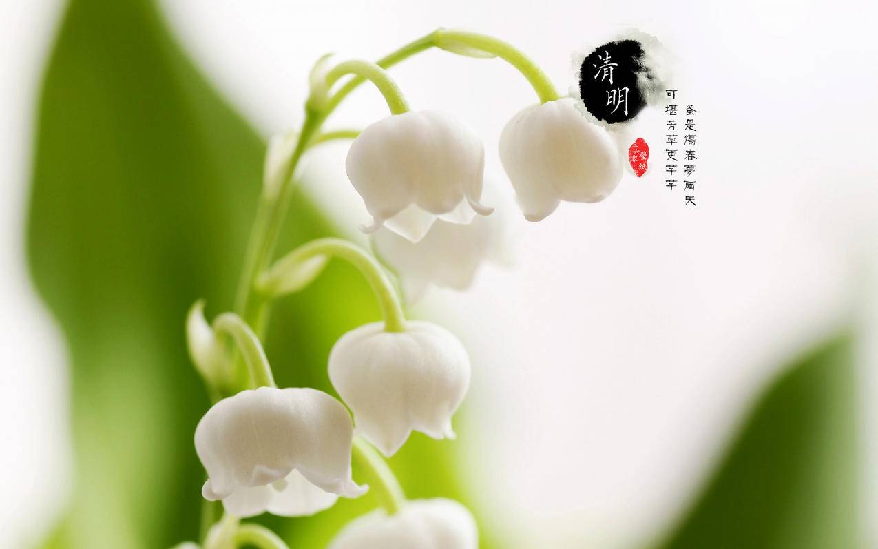 抖音点赞业务下单平台免抖音点赞业务24小时低价价格 - 抖音每日领赞