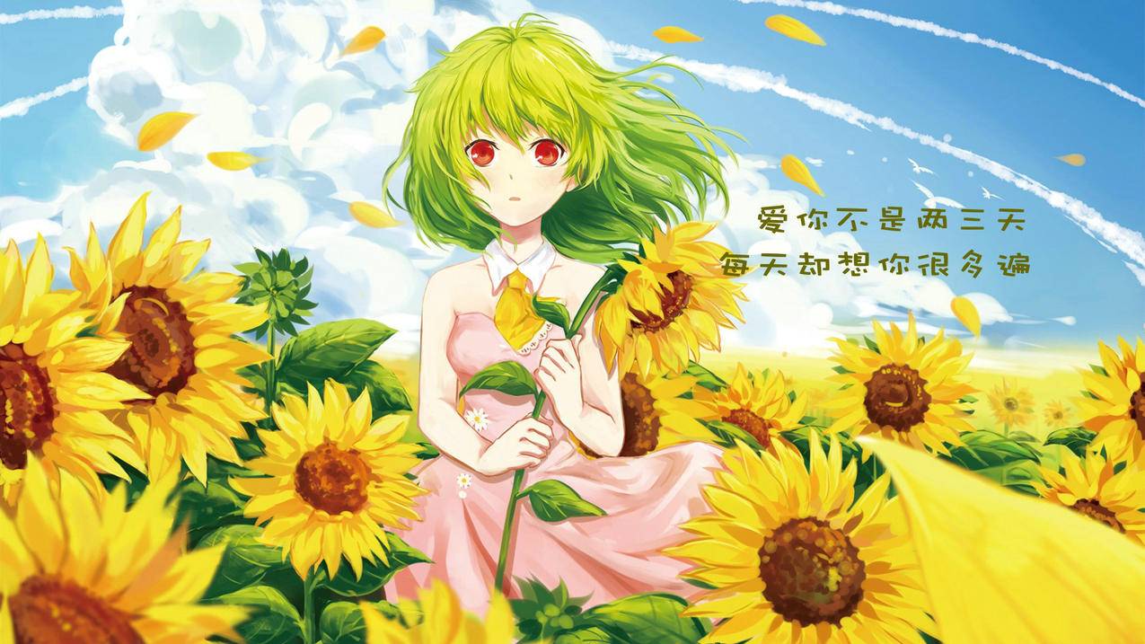 低价 - ,抖音赞,抖音赞 