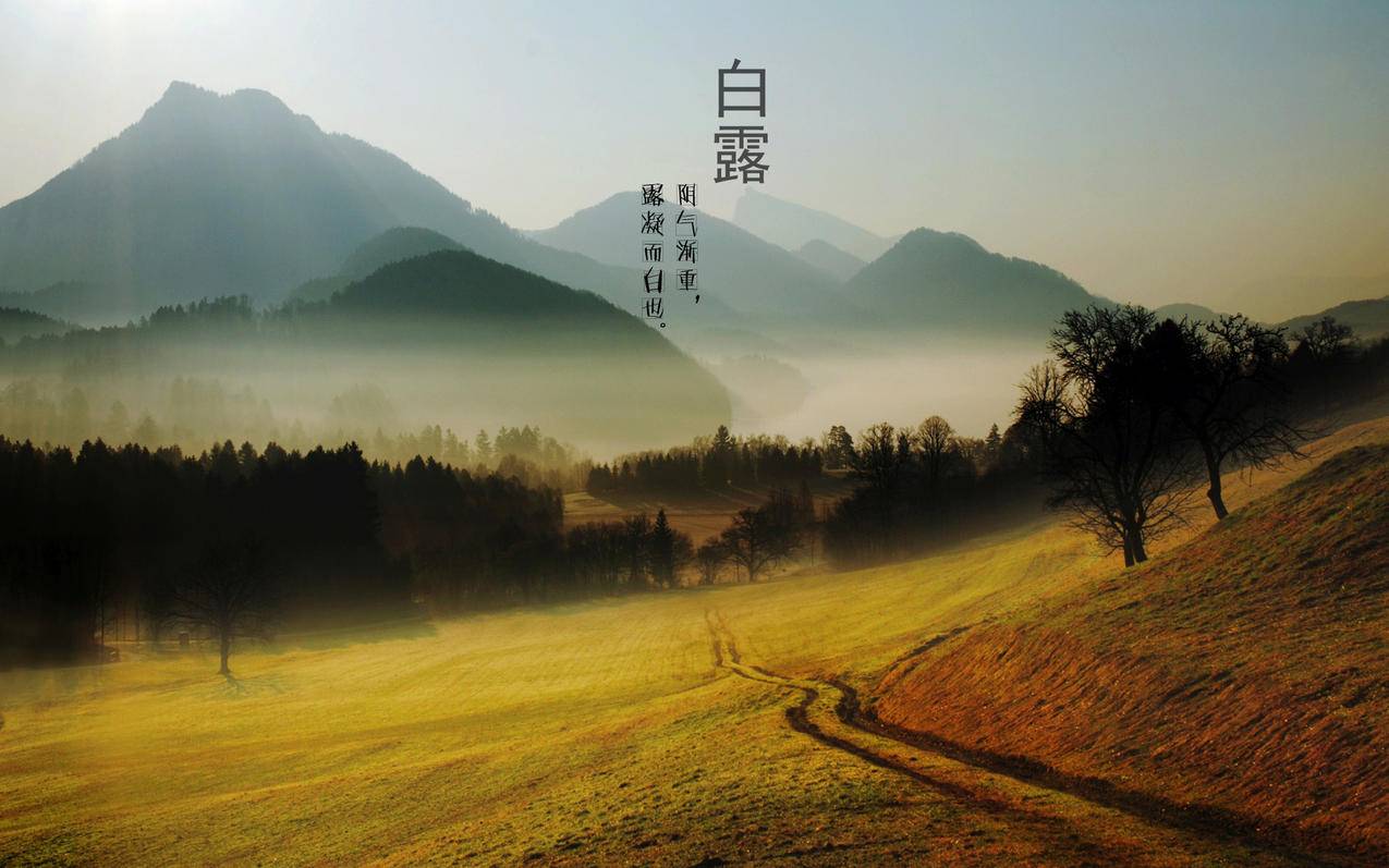 抖音点赞业务24小时 - 抖音秒业务讲信用,,晨曦下单自助平台