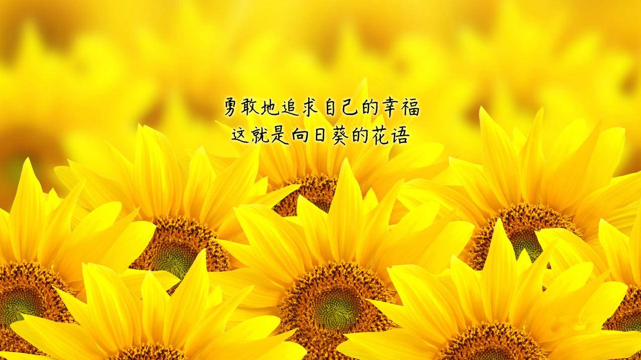 抖音赞 - 抖音点赞业务24小时自助平台-抖音点赞业务24小时的下单-冰帝抖音赞