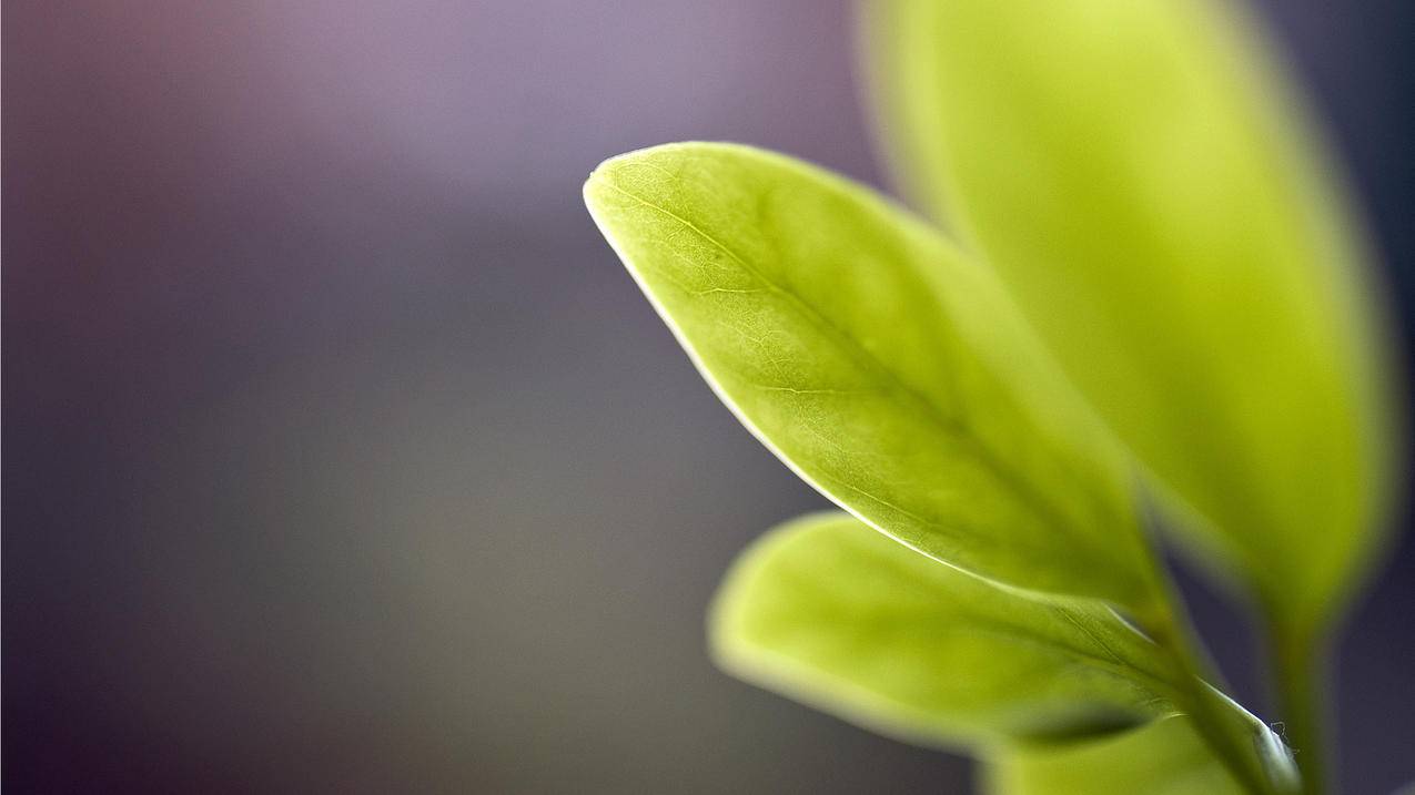 抖音赞自助下单平台-抖音点赞业务24小时5月,抖音点赞业务下单平台 猎豹,抖音点赞业务24小时