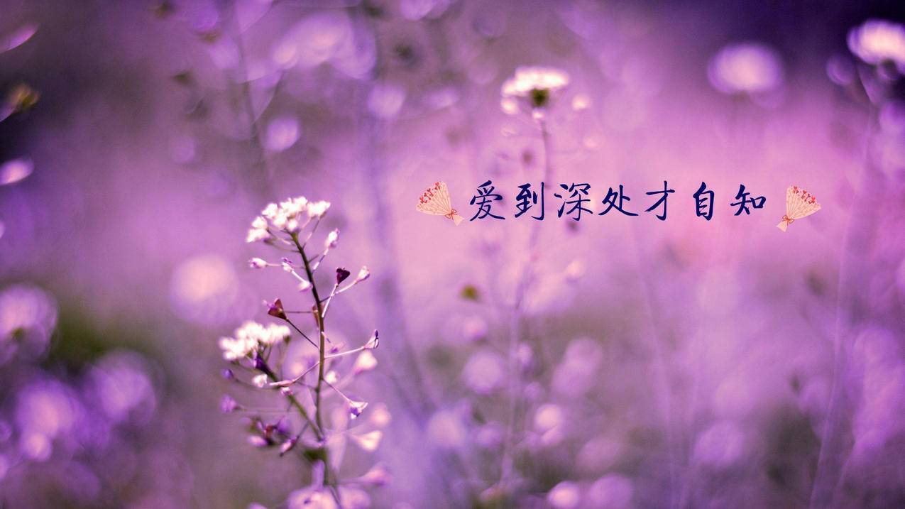 抖音秒业务抖音支付 - 业务数购买_大黑抖音点赞业务24小时