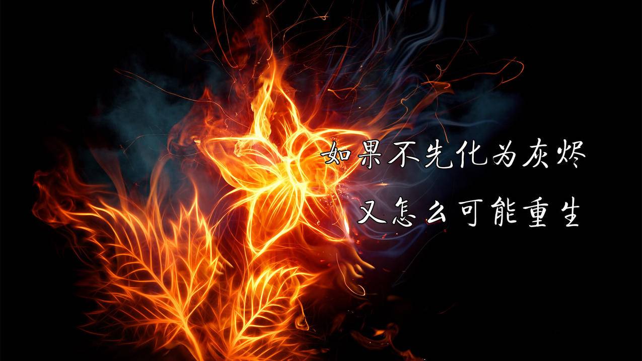 易低价下单平台 - 