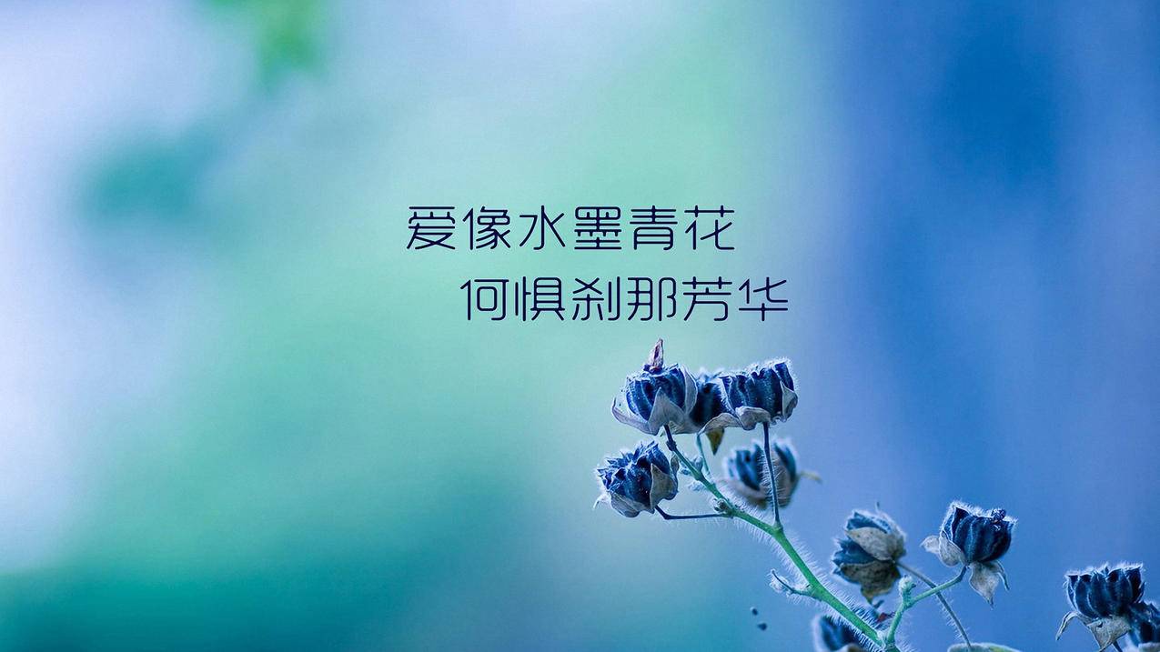 大黑抖音点赞业务24小时 - 1毛3000抖音业务-抖音点赞业务10个-抖音赞下单