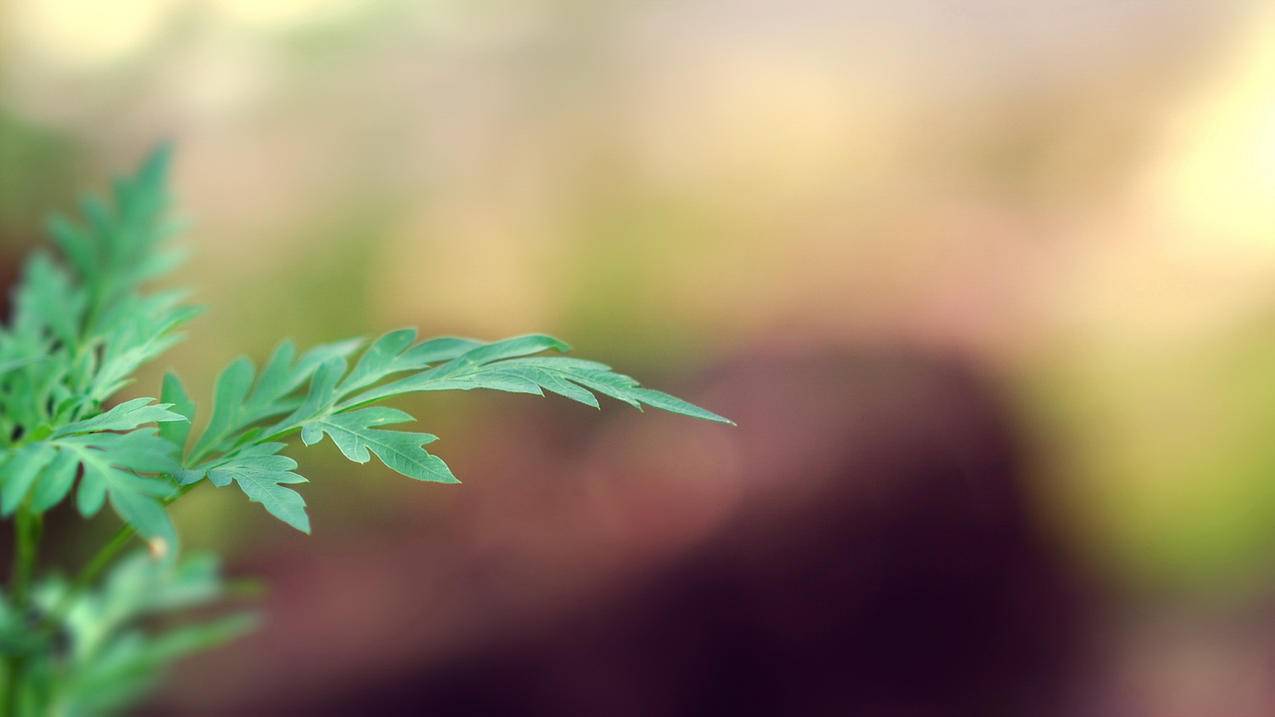 抖音点赞业务24小时