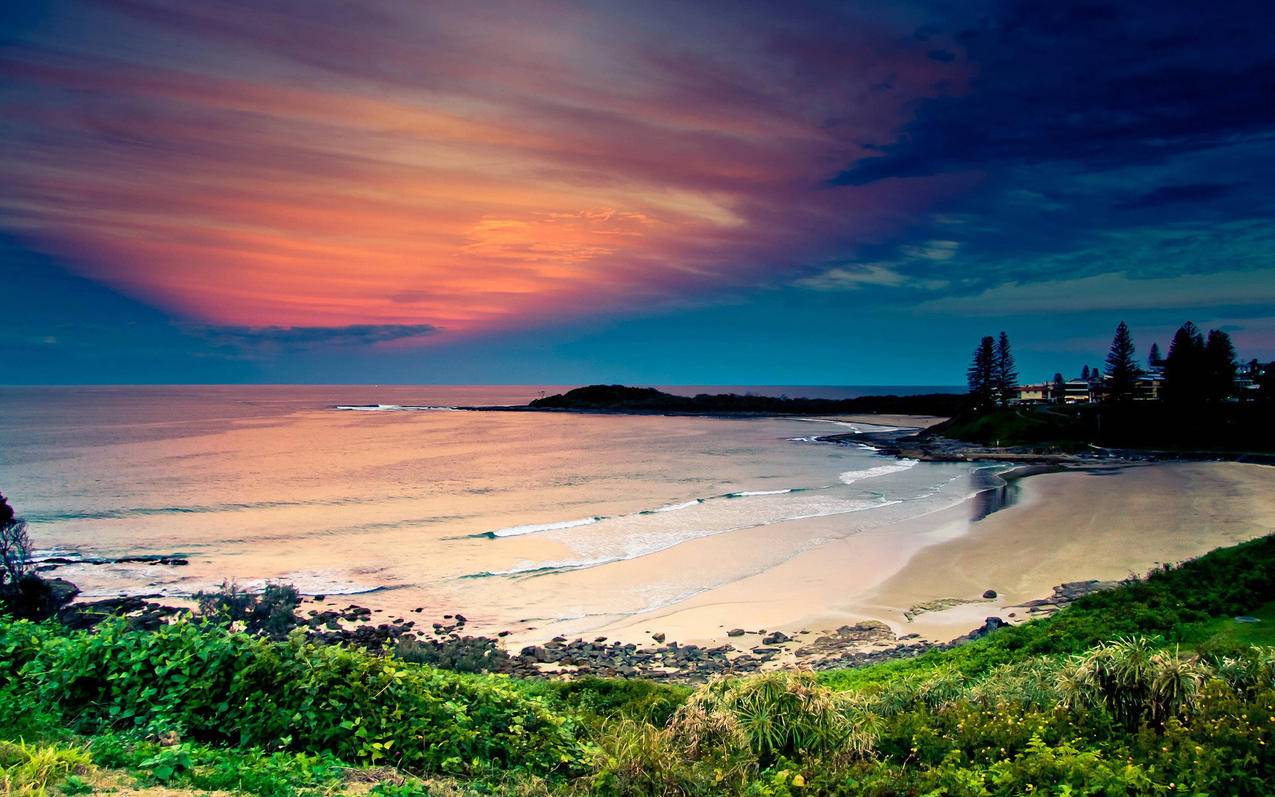 低价下单平台 - 板平台_抖音赞