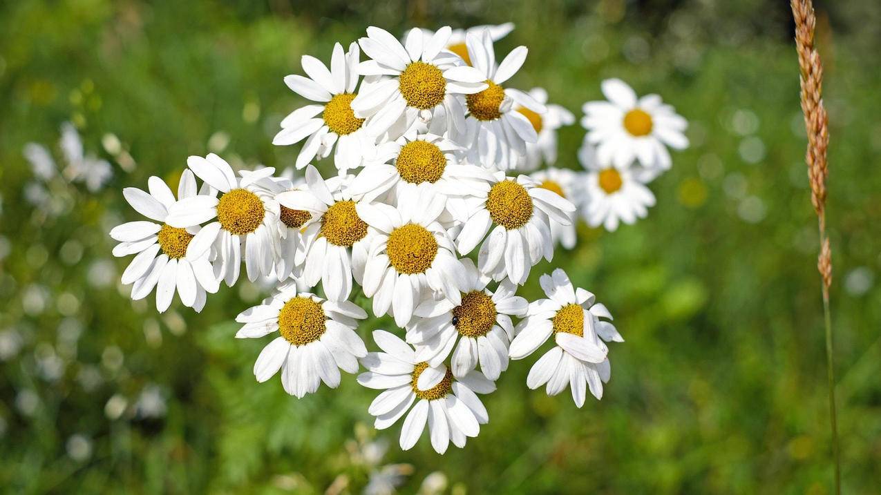 抖音点赞业务24小时下单秒低价下单低价-业务下单,抖音赞全网低价,麦子抖音点赞业务24小时