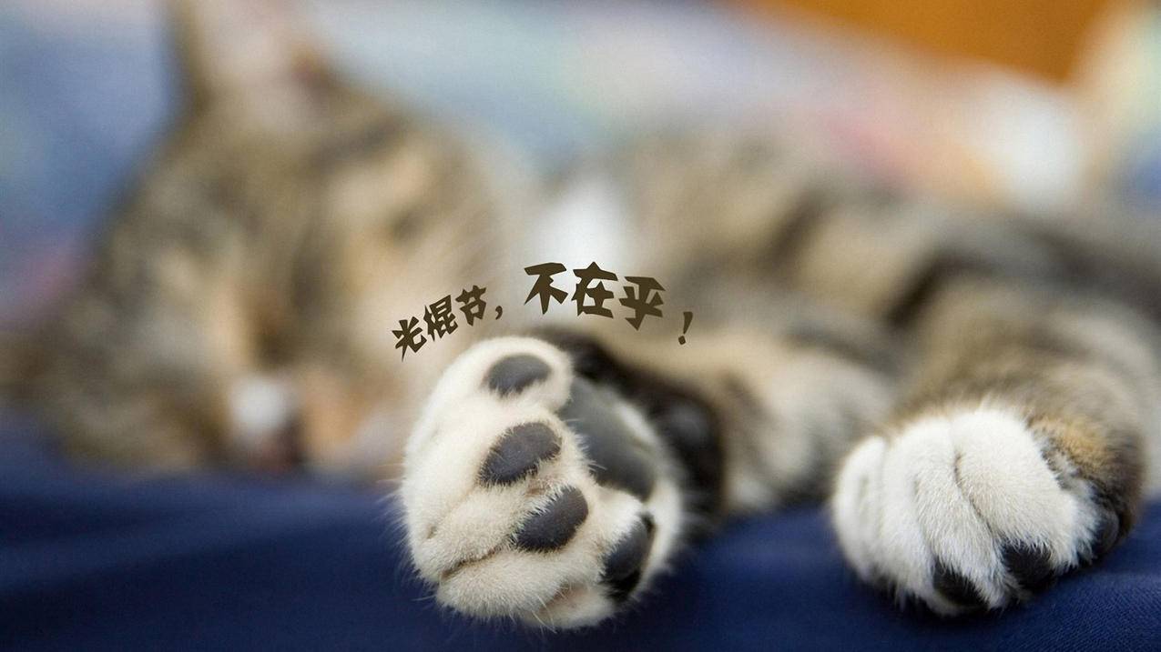 24小时自助平台-优质 - 0.1元一百赞_自助下单低价下单