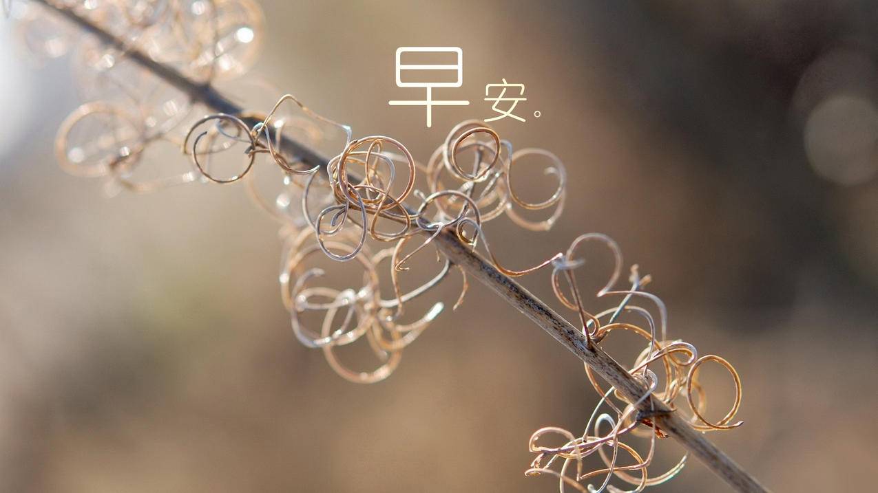 抖音星业务 - 低价下单业务-抖音点赞业务下单