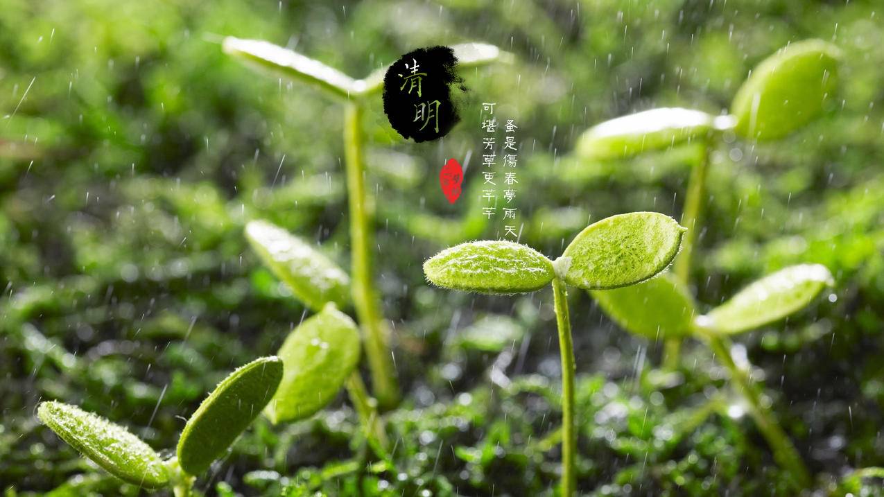 抖音赞下单平台 - 抖音赞低价-1元1000