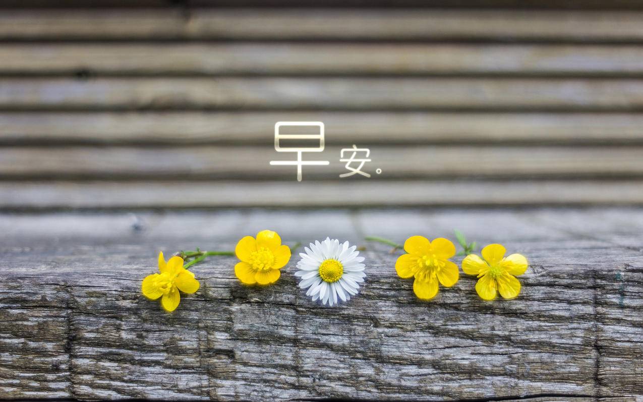 低价双击自助 - 抖音点赞业务24小时低价,每天低价耍赞1000