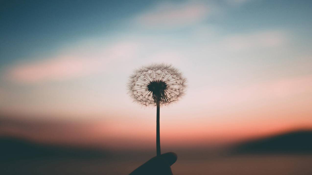 抖音点赞业务24小时