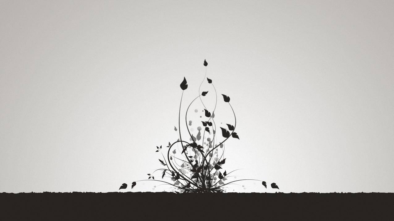 抖音点赞业务24小时套业务 - 抖音点赞业务24小时1000个赞1元,小在线,低价平台