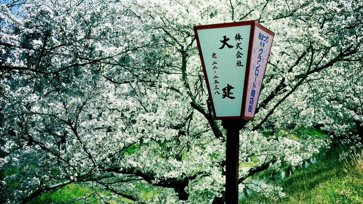 抖音赞下单平台 - 