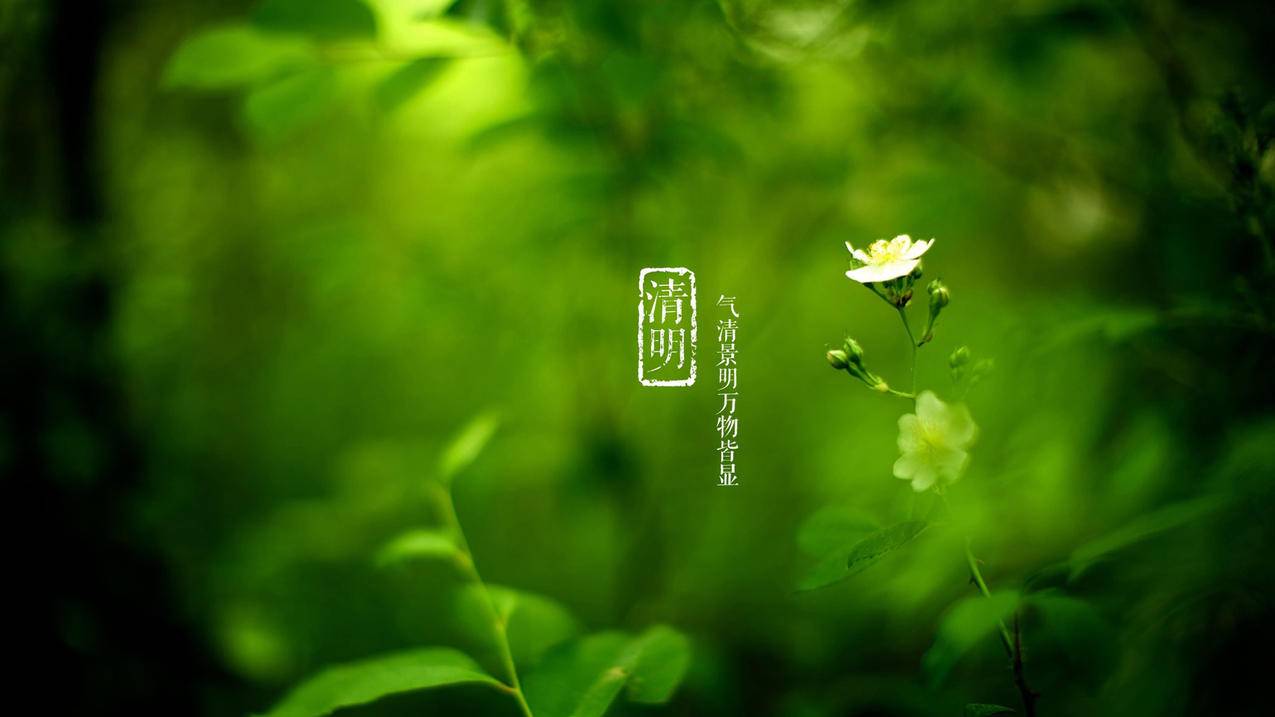 抖音自助低价下单平台-抖音点赞业务24小时低价-半次元双击平台,低价下单平台