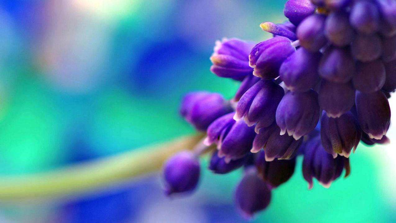 抖音点赞业务24小时