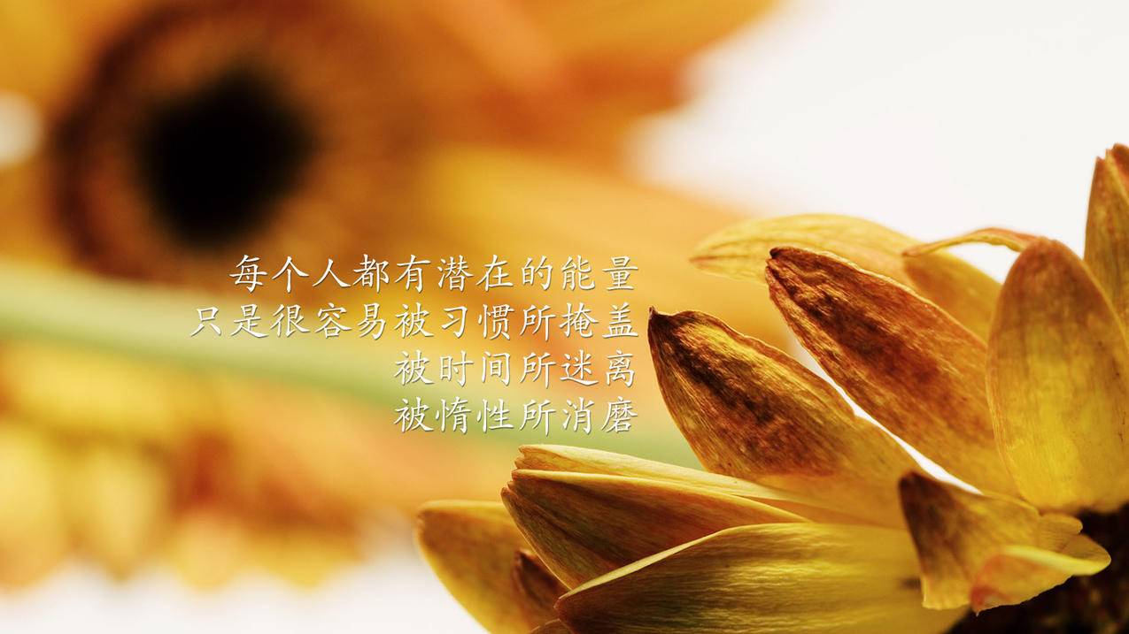 每天低价领取抖音一万