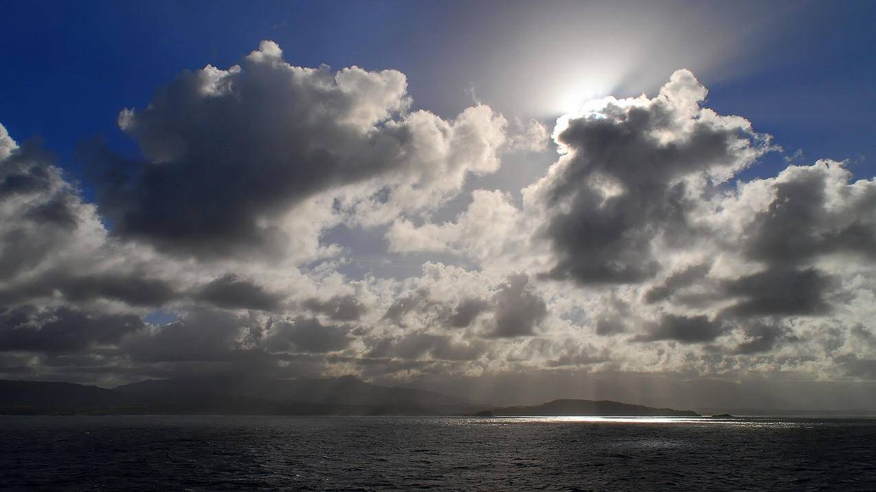 翻咔官 - 业务下单赞-业务抖音