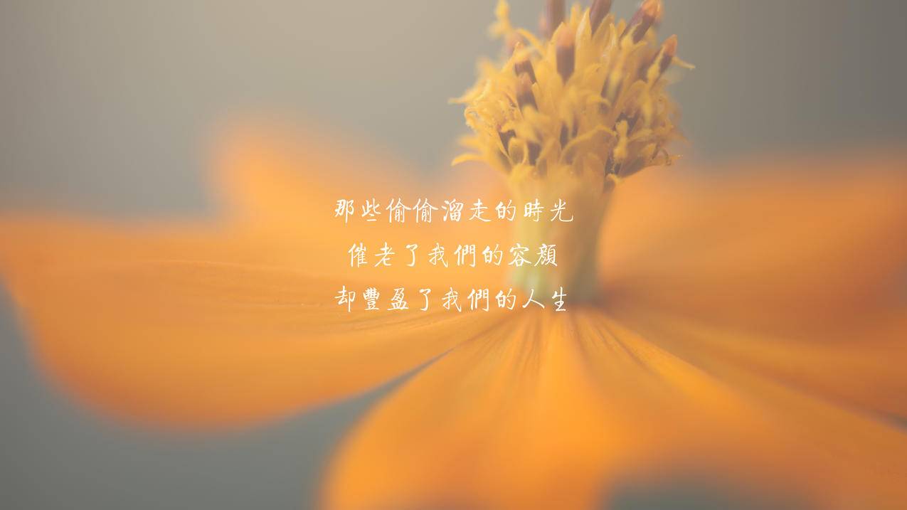 业务下单平台大嘴巴-