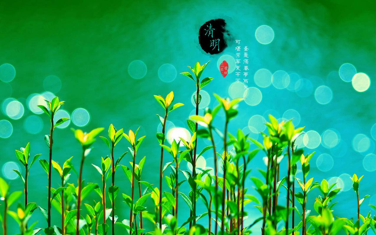 抖音赞平台 - 抖音点赞业务24小时-抖音点赞业务24小时秒全网低价下单