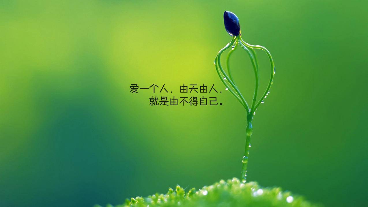 翼抖音赞 - 抖音点赞业务24小时全+最低价0.01一万-抖音点赞业务24小时全-抖音点赞业务24小时低价下单