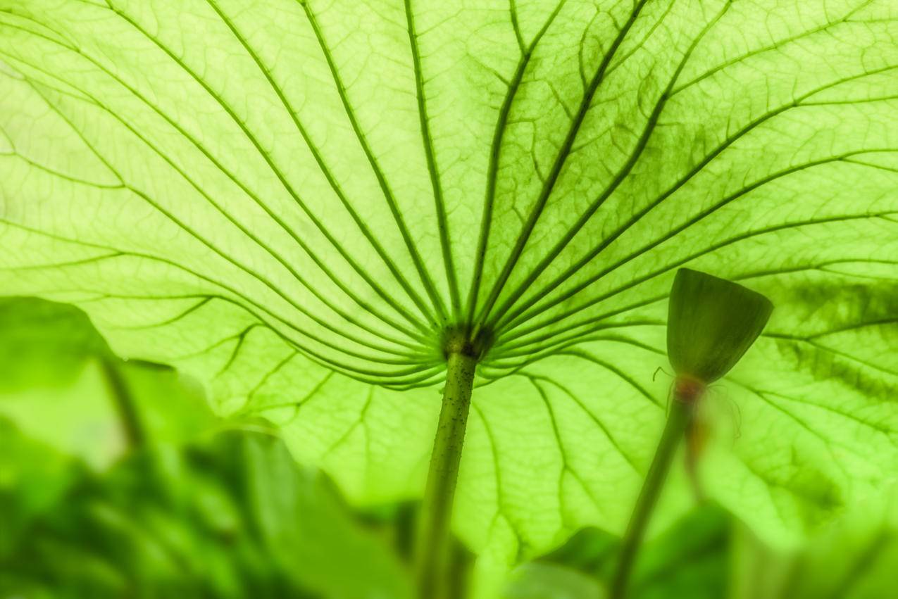 抖音点赞业务下单平台速,抖音点赞业务24小时,创迹低价下单平台-抖音颜抖音点赞业务24小时